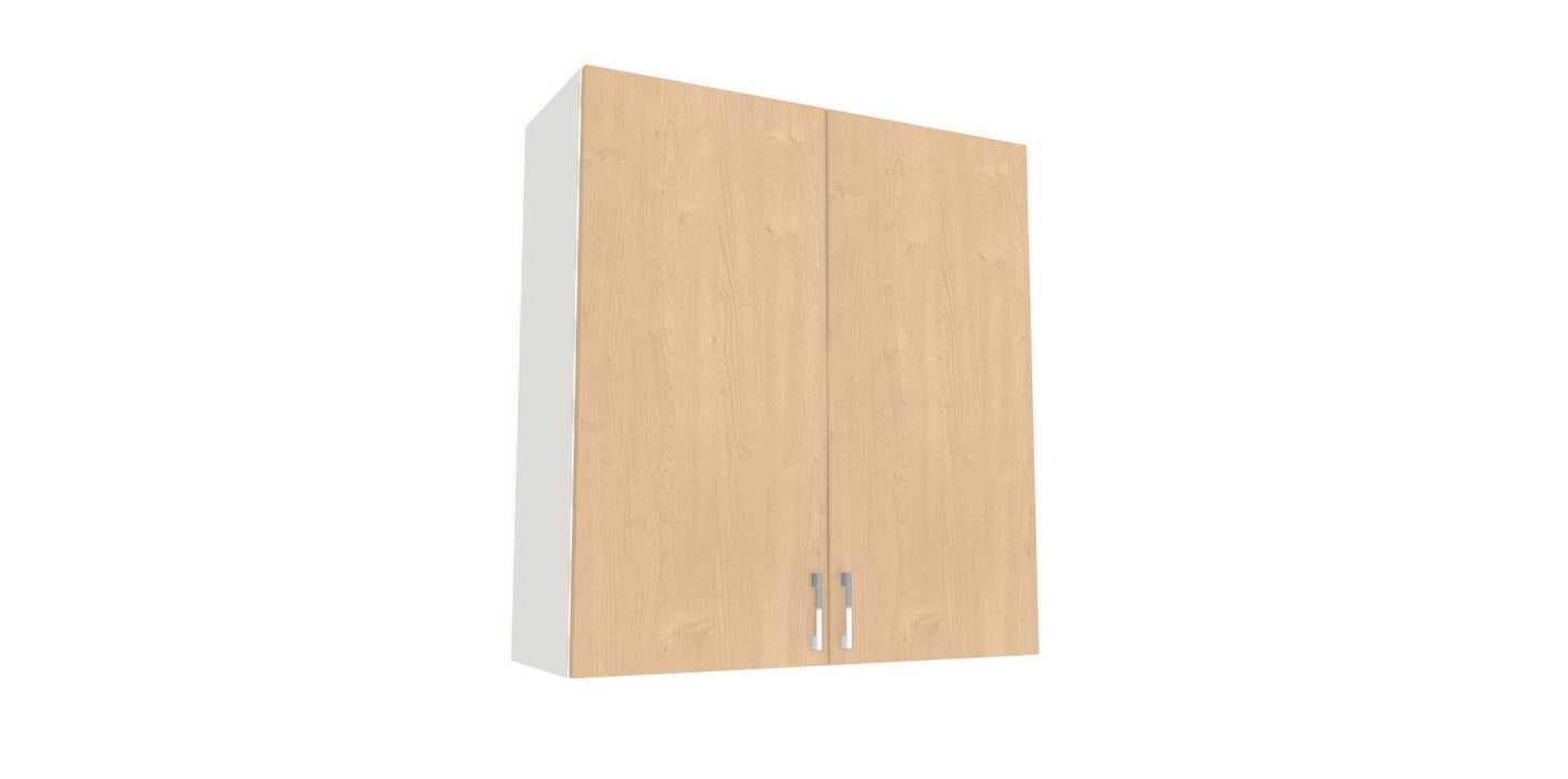 Wall Double Door Cabinet 36" H