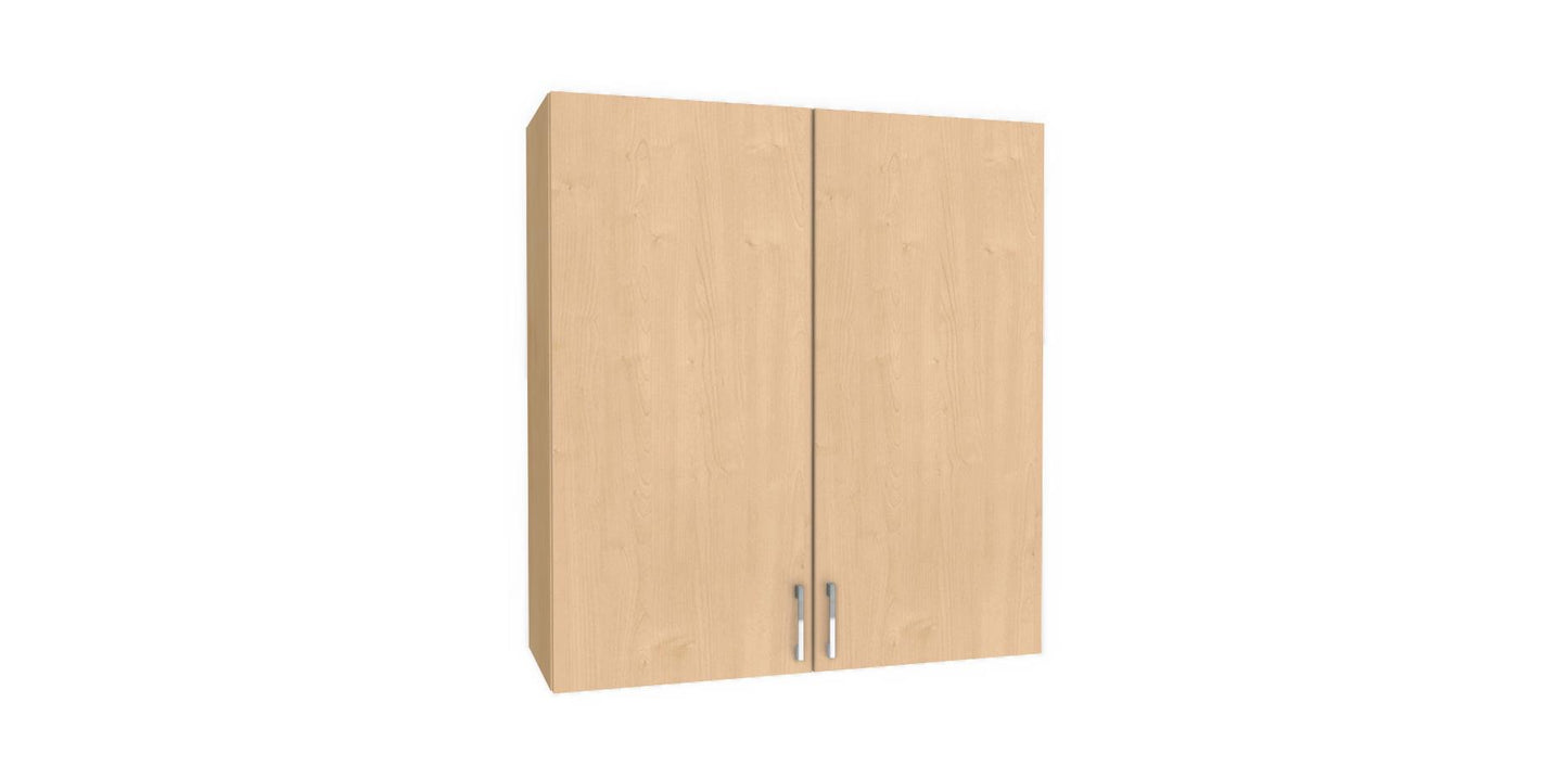 Wall Double Door Cabinet 36" H