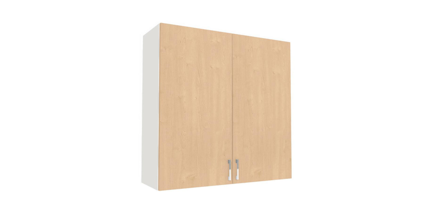Wall Double Door Cabinet 36" H