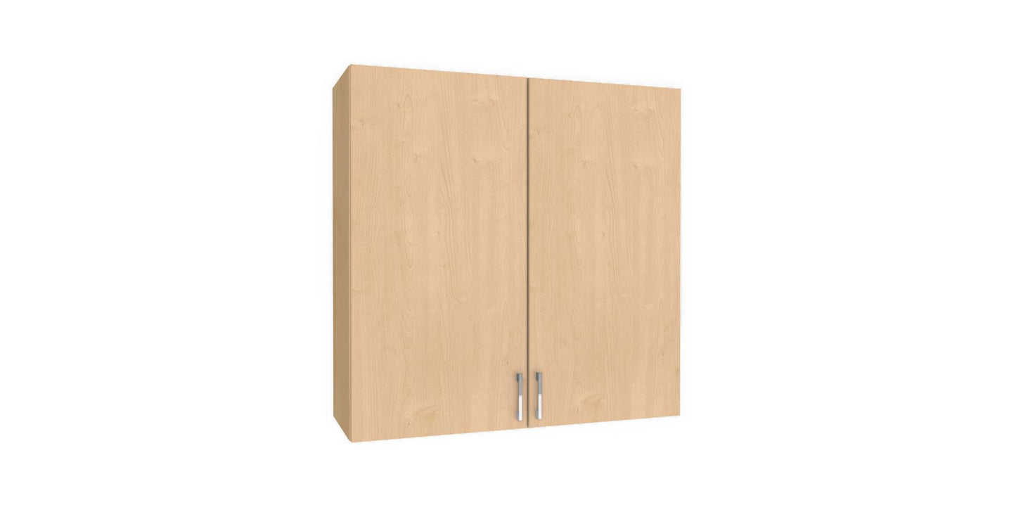 Wall Double Door Cabinet 36" H