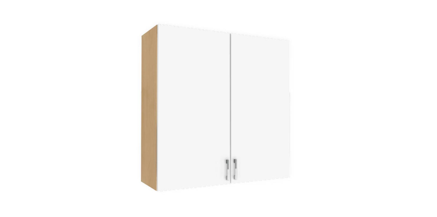 Wall Double Door Cabinet 36" H