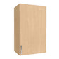 Wall Single Door 30"H Cabinet
